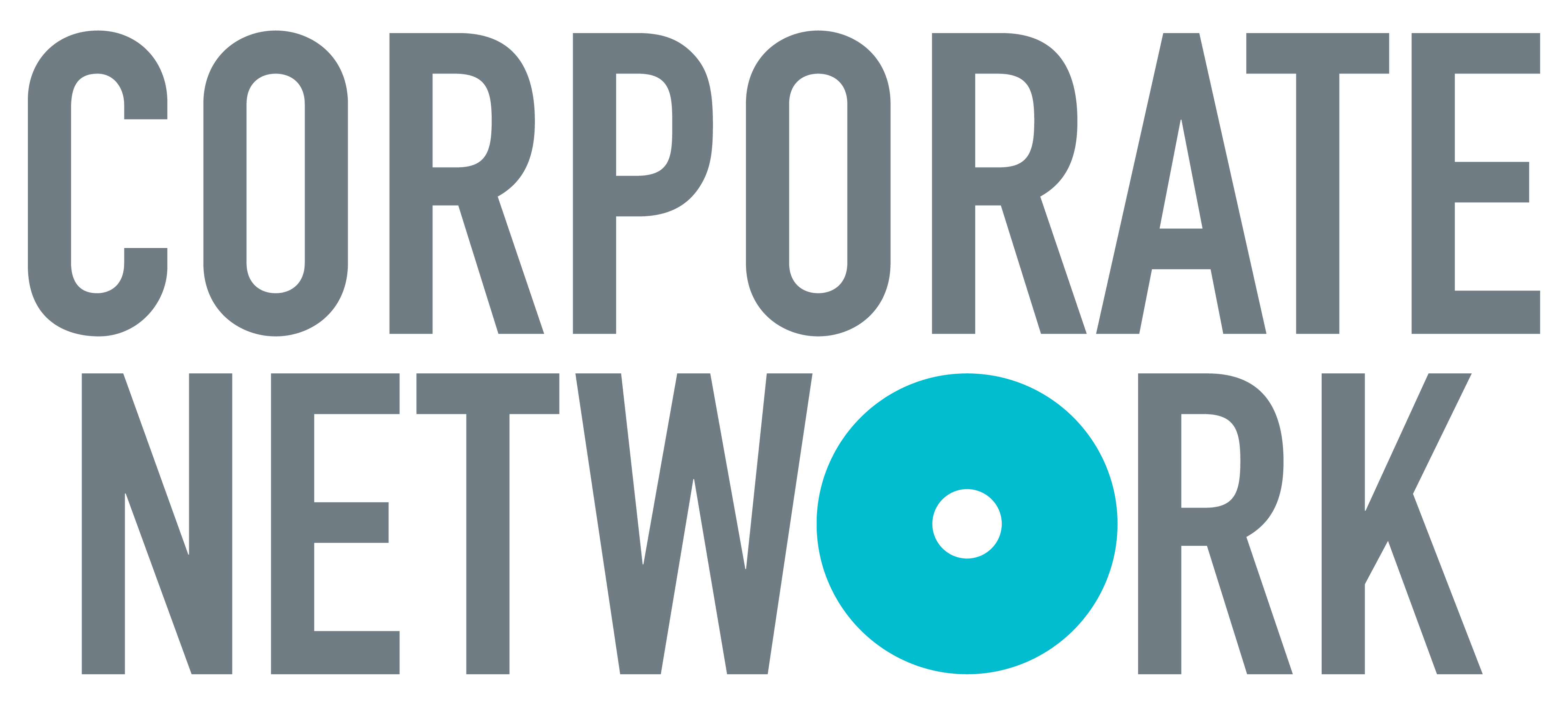 Corporate Network Portal icon